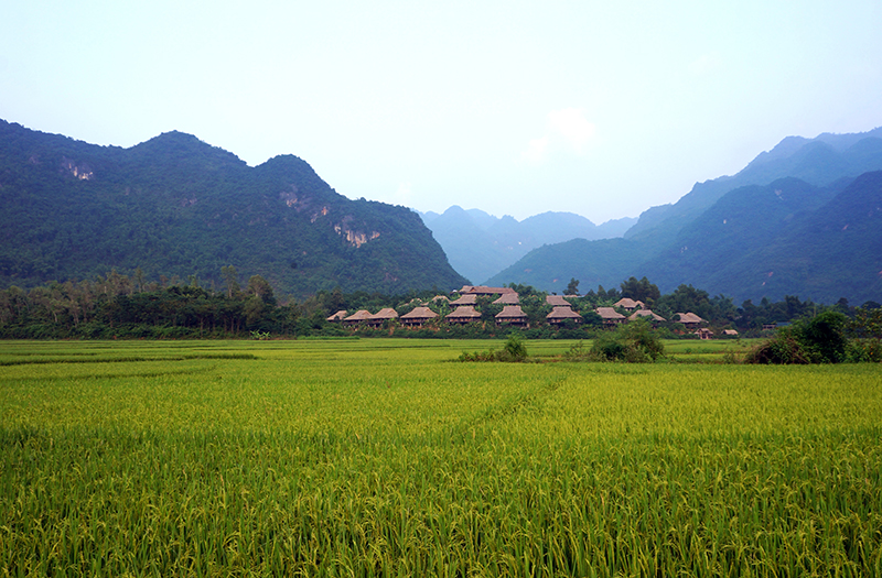 Mai Chau